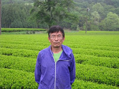長谷川製茶有限会社
